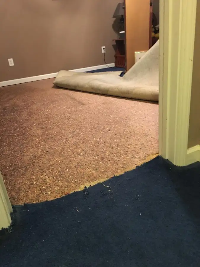 Carpet pad removal revealing water damage during Water Mitigation Services in Fairview Park