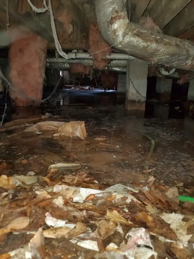 Crawl space flood assessment for Leak Detection & Repair in Fairview Park