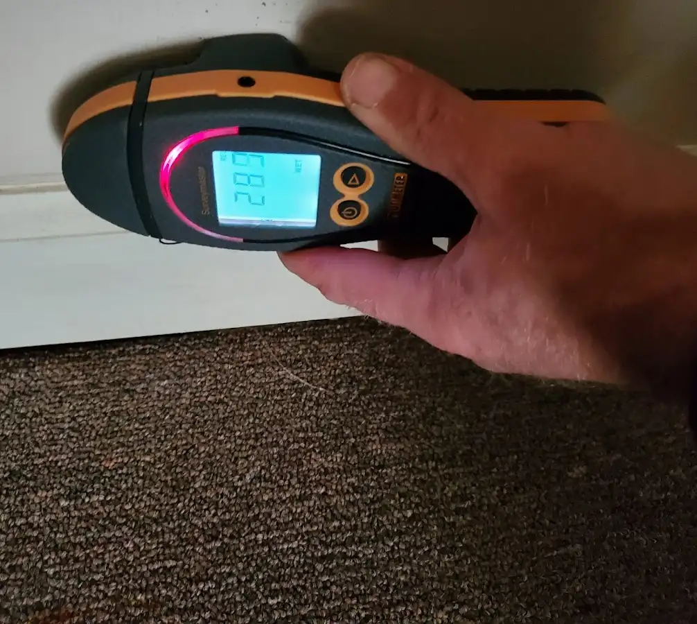 Moisture detection at baseboard during Sewage Cleanup & Sanitation in Fairview Park
